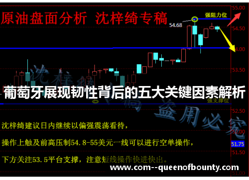 葡萄牙展现韧性背后的五大关键因素解析