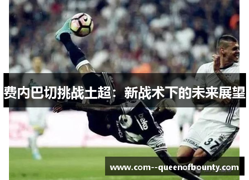 费内巴切挑战土超：新战术下的未来展望